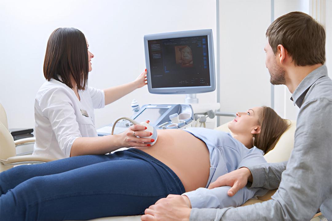 Fertility and IVF Team